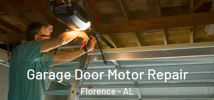  Garage Door Motor Repair Florence - AL