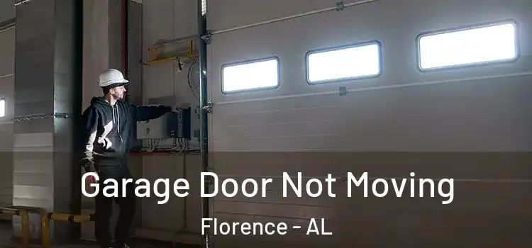 Garage Door Not Moving Florence - AL