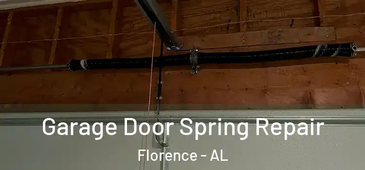  Garage Door Spring Repair Florence - AL