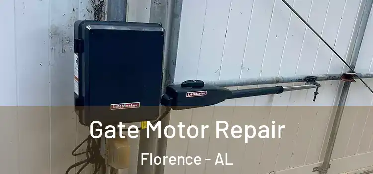 Gate Motor Repair Florence - AL