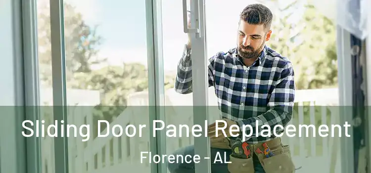  Sliding Door Panel Replacement Florence - AL
